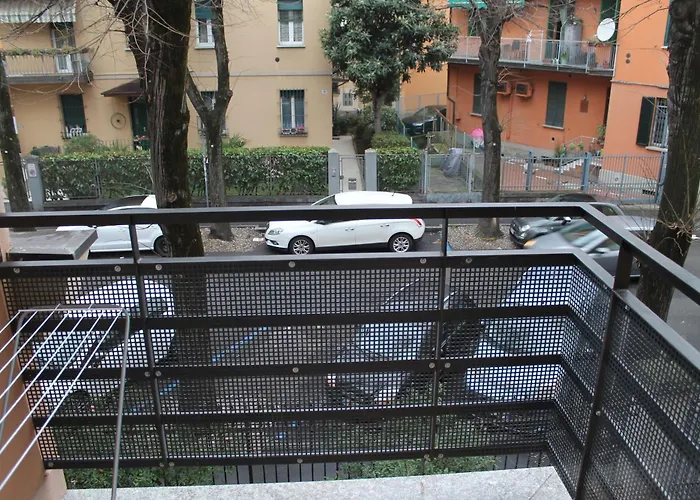 Bondi900 - Tigli * Bolonia