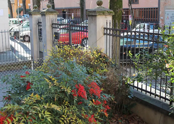 Bondi900 - Tigli * Болонья