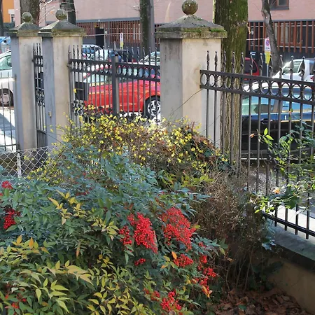 Bondi900 - Tigli * Bologna